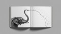 batch_Africa_Book_9.jpg