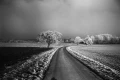 Leica_Monopan_50_Inspiration_04.webp