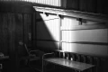 Leica-Monopan-50-Inspiration-010.webp