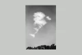 Leica-Monopan-50-Inspiration-012.webp