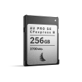 AV-PRO-CFexpress-B-SE-MK2_256GB_01_Web_3000x3000_20260513.png