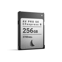 Karta Pamięci Angelbird AV PRO CFexpress SE 4.0 Typ B 256 GB