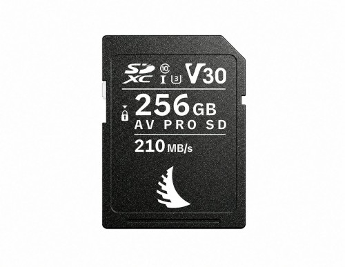 angelbird-av-pro-sd-256gb-v30-mk2.jpg