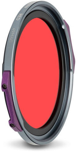 800q-01_138081.png
