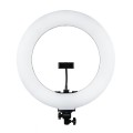 lampa-led-ring-mitoya-rl480l-3000-6000k.jpg1.jpg