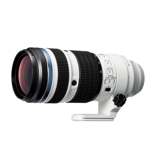 om 50-200(1).png