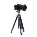 benro-statyw-tcba25g36pt12.jpg