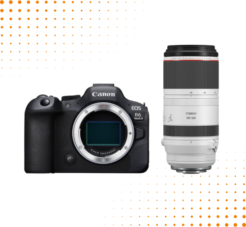 Aparat Canon EOS R6 Mark II + Canon RF 100-500 mm f/4.5-7.1 L IS USM
