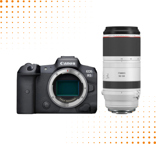 Aparat Canon EOS R5 + Canon RF 100-500 mm f/4.5-7.1 L IS USM
