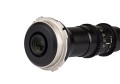 notopstryk venus optics laowa 24 f14 probe 2x macro (2).jpg
