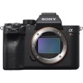 Sony_ILCE-7RM4_001.jpg