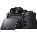 Sony_ILCE-7RM4_004.jpg