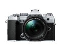 notopstry_olympus_m5mkIII.jpg