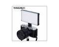 1000x800,nw,foxfoto,365rgb-3.jpg