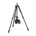 Photo-tripod_Manfrotto_Element-MII_Alu-black_MKELMII4BK-BH_hero with camera_upsidedown.jpg