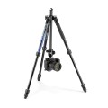Photo-tripod_Manfrotto_Element-MII_Alu-blue_MKELMII4BL-BH_hero with camera_upsidedown.jpg