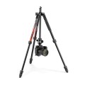 Photo-tripod_Manfrotto_Element-MII_Alu-red_MKELMII4RD-BH_hero with camera_upsidedown.jpg