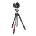 Photo-tripod_Manfrotto_Element-MII_Alu-red_MKELMII4RD-BH_hero-with-camera.jpg