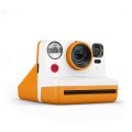 notopstryk polaroid now  (47).jpg