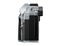 notopstry_olympus_m5mkIII_3.jpg