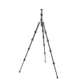 LEOGREY2-5099.jpg