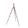 LEO2-5110.jpg