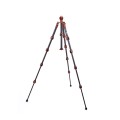 LEO2-5111.jpg
