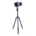 VGVESTAB235ABz04.jpg