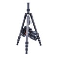 VGVESTATB204CBz08.jpg