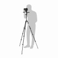 Statyw Manfrotto BeFree + Głowica 3W Live Lever