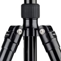 A3883TS6PRO_PT13_Spider.jpg