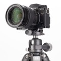 GX35_PT01_CameraTight.jpg