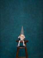 Tło fotograficzne Kuyavia Backdrops | Children od the sea 160x300 - Wypożyczalnia