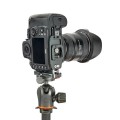 pol_pl_3-Legged-Thing-ELLIE-PD-G-L-bracket-plytka-szybkozlaczka-kompatybilna-z-Capture-Peak-Design-799_11.jpg