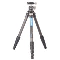 notopstryk statyw leofoto Ranger LS-224C+LH-25 (3).jpg