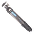 notopstryk statyw leofoto Ranger LS-224C+LH-25 (4).jpg