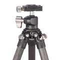 notopstryk statyw leofoto Ranger LS-224C+LH-25 (1).jpg