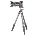notopstryk statyw leofoto Ranger LS-224C+LH-25 (2).jpg