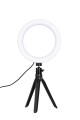 small-Quadralite LED Ring Light (2).jpg
