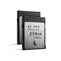 AV-PRO-CFexpress---01-(Grey,-256GB)_2-Pack.png