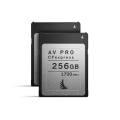 AV-PRO-CFexpress---02-(Grey,-256GB)_2-Pack.png
