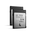 AV-PRO-CFexpress---01-(Grey,-1TB)_2-Pack.png