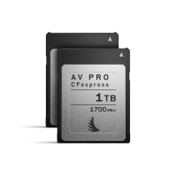 Karta pamięci Angelbird Match Pack Canon EOS R5 | 1DX MK3 1 TB | 2 PACK