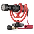 rodevideomicro_827990328_1359376840.jpg