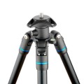 COREYBLUE2.0-3783.jpg