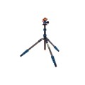 BRIANBLUE2.0-2689.jpg