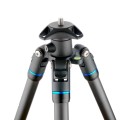 BRIANBLUE2.0-3759.jpg