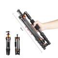 karbonowy-statyw-fotograficzny-140cm-kf-notopstryk 2.jpg