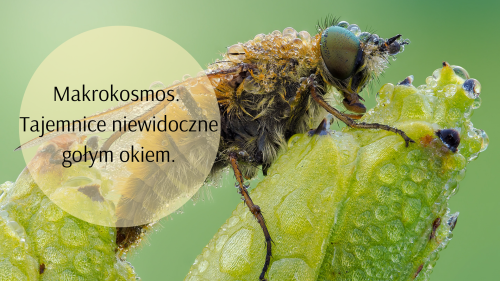 Makrokosmos. Tajemnice niewidoczne gołym okiem..png