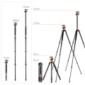 karbonowy-statyw-fotograficzny-165cm-kf-concept-sa254c1 notopstryk.jpg